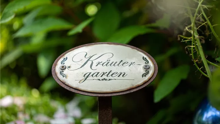 Ernte ohne Garten - Im duftenden Kräutergarten auf dem Balkon image