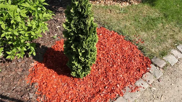 Mulch - Einsatz im Garten image