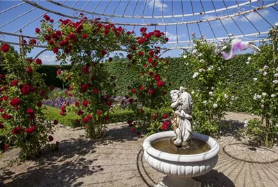 Der Barockgarten: royales Flair im eigenen Garten image