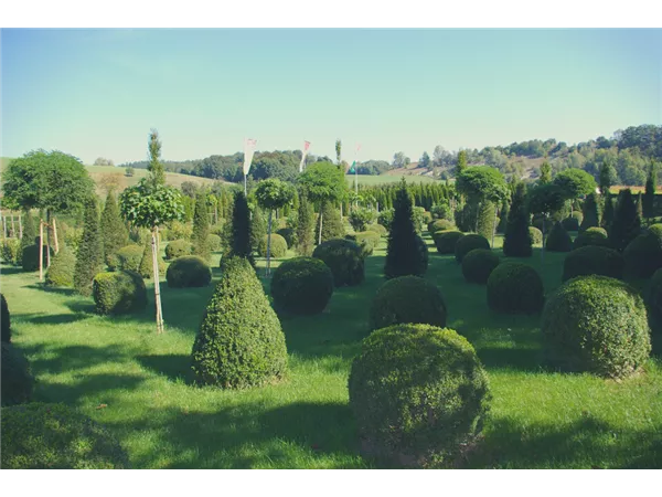 Mitarbeiter/in für die Baumschule (m/w/d)