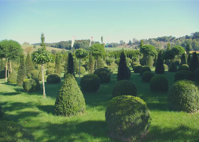 Mitarbeiter/in für die Baumschule (m/w/d)