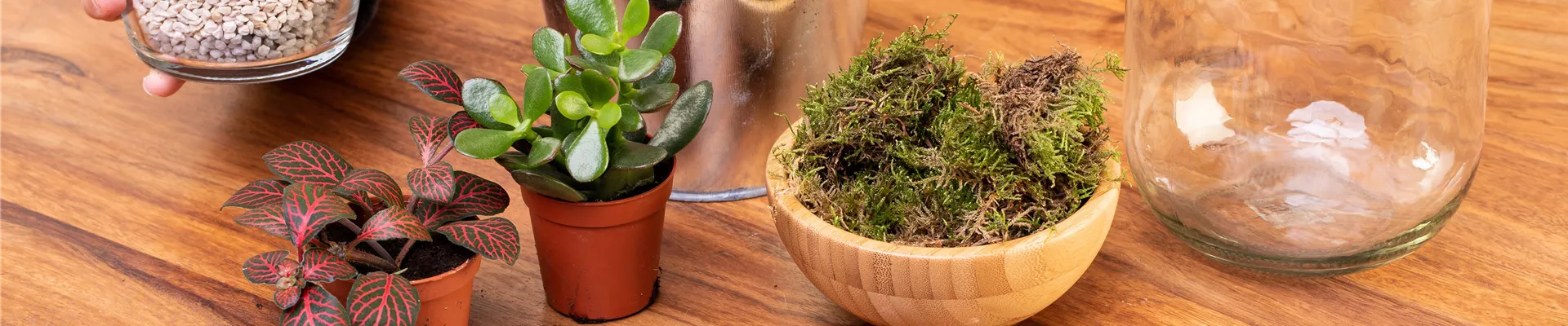 GS606046-0-527-6720-3780 GS606046-0-527-6720-3780