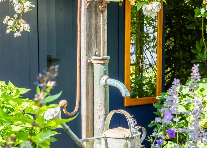 So einfach kann die Gartengestaltung mit Gartenpflanzen sein So einfach kann die Gartengestaltung mit Gartenpflanzen sein