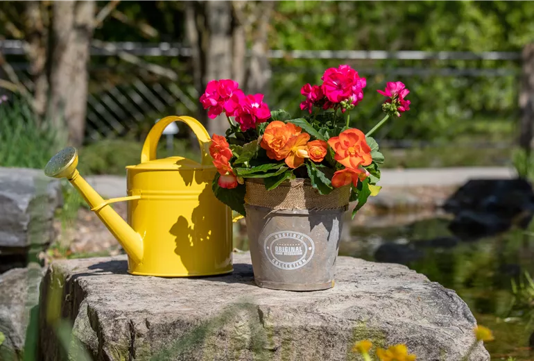 Bepflanzter Übertopf im Gartenambiente