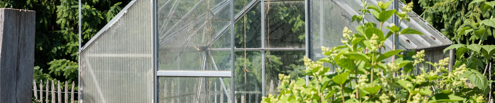 Gewächshaus Gewächshaus