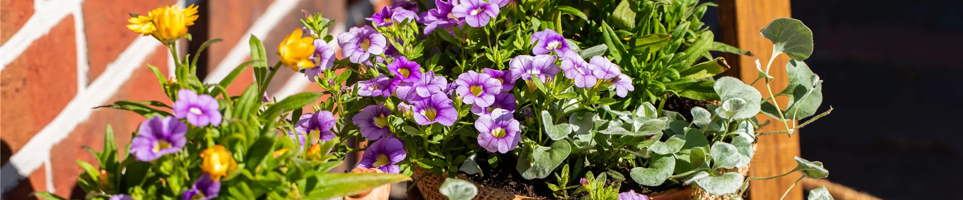 Gartendekoration  Gartendekoration