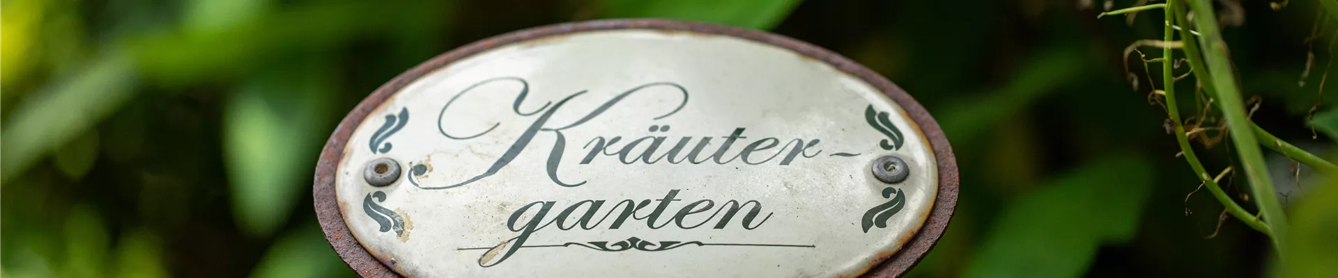 Schild - Kräutergarten Schild - Kräutergarten