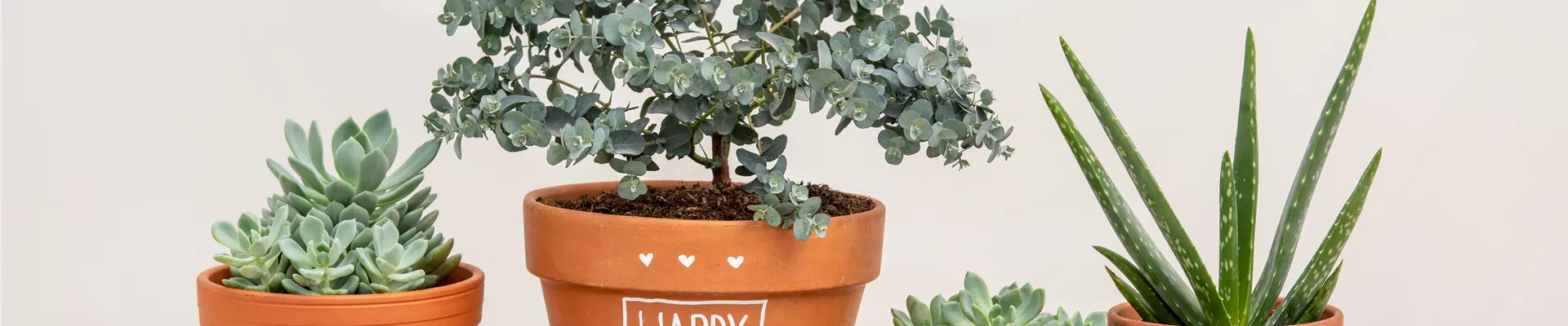 Muttertag - Bepflanzte Töpfe mit Aufschrift Muttertag - Bepflanzte Töpfe mit Aufschrift