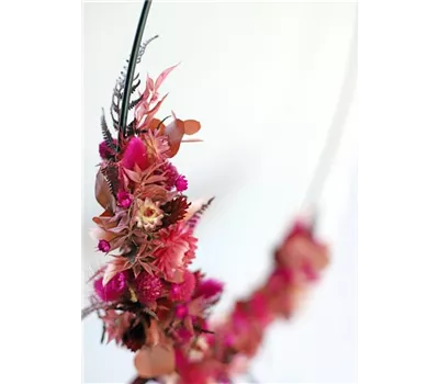 Loop Goldring 25 cm Loop Goldring 25 cm