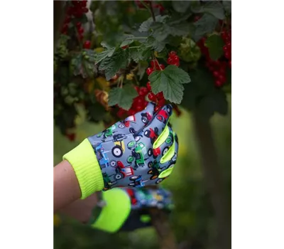 Handschuhe Handschuhe