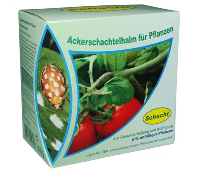 Ackerschachtelhalm für Pflanzen  Ackerschachtelhalm für Pflanzen