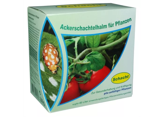 Ackerschachtelhalm für Pflanzen 