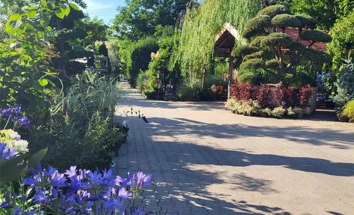 Die Baumschule Die Baumschule