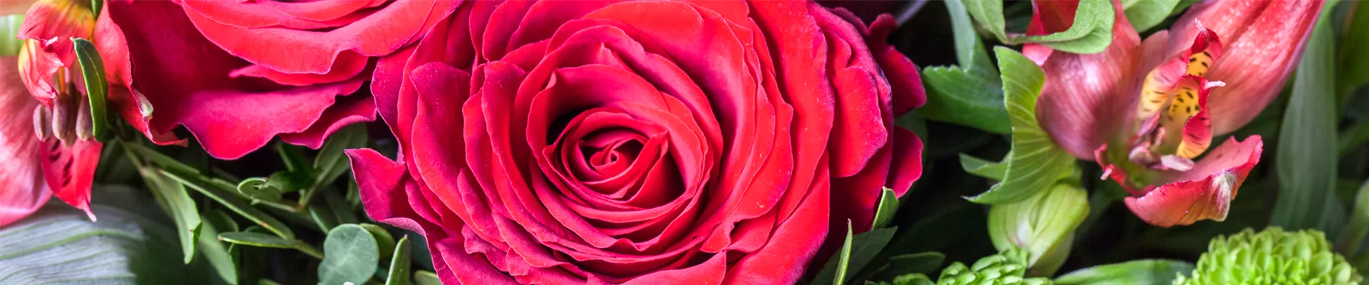 Patzelsperger_Floristik_Titelbild Patzelsperger_Floristik_Titelbild