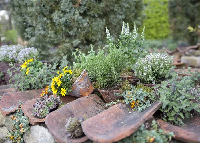 Gartengeräte und Dekoration  Gartengeräte und Dekoration