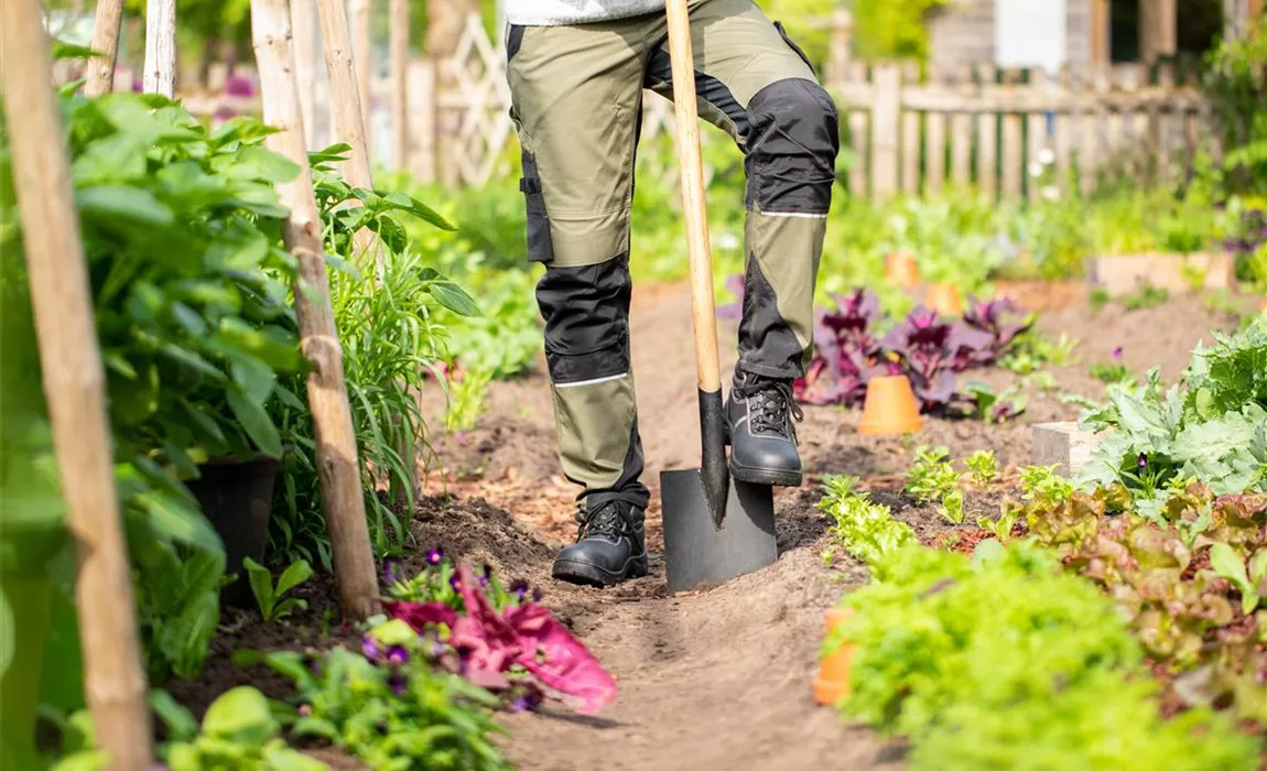 Stellenangebote Stellenangebote