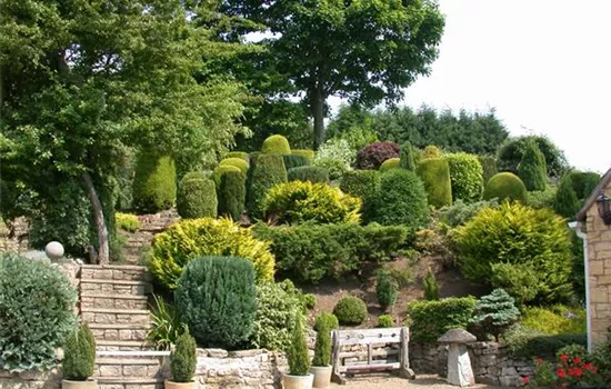 Die Koniferen überzeugen durch ihre eindrucksvolle Vielfalt Die Koniferen überzeugen durch ihre eindrucksvolle Vielfalt