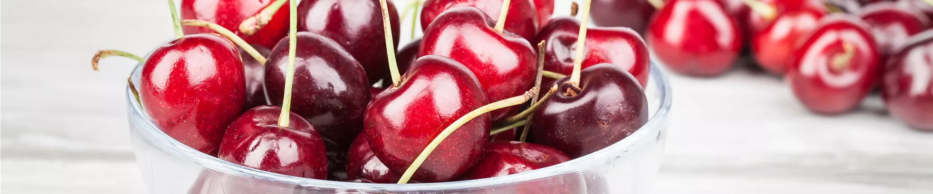 Prunus avium Prunus avium